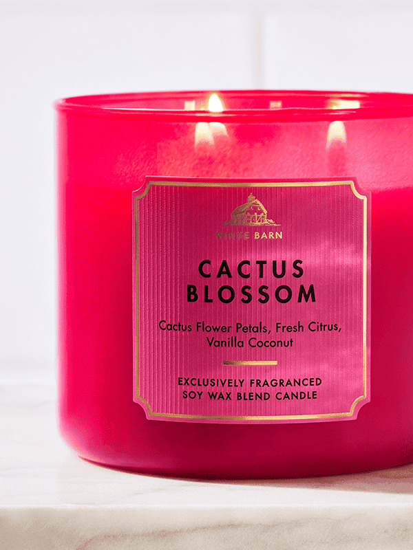 Candles