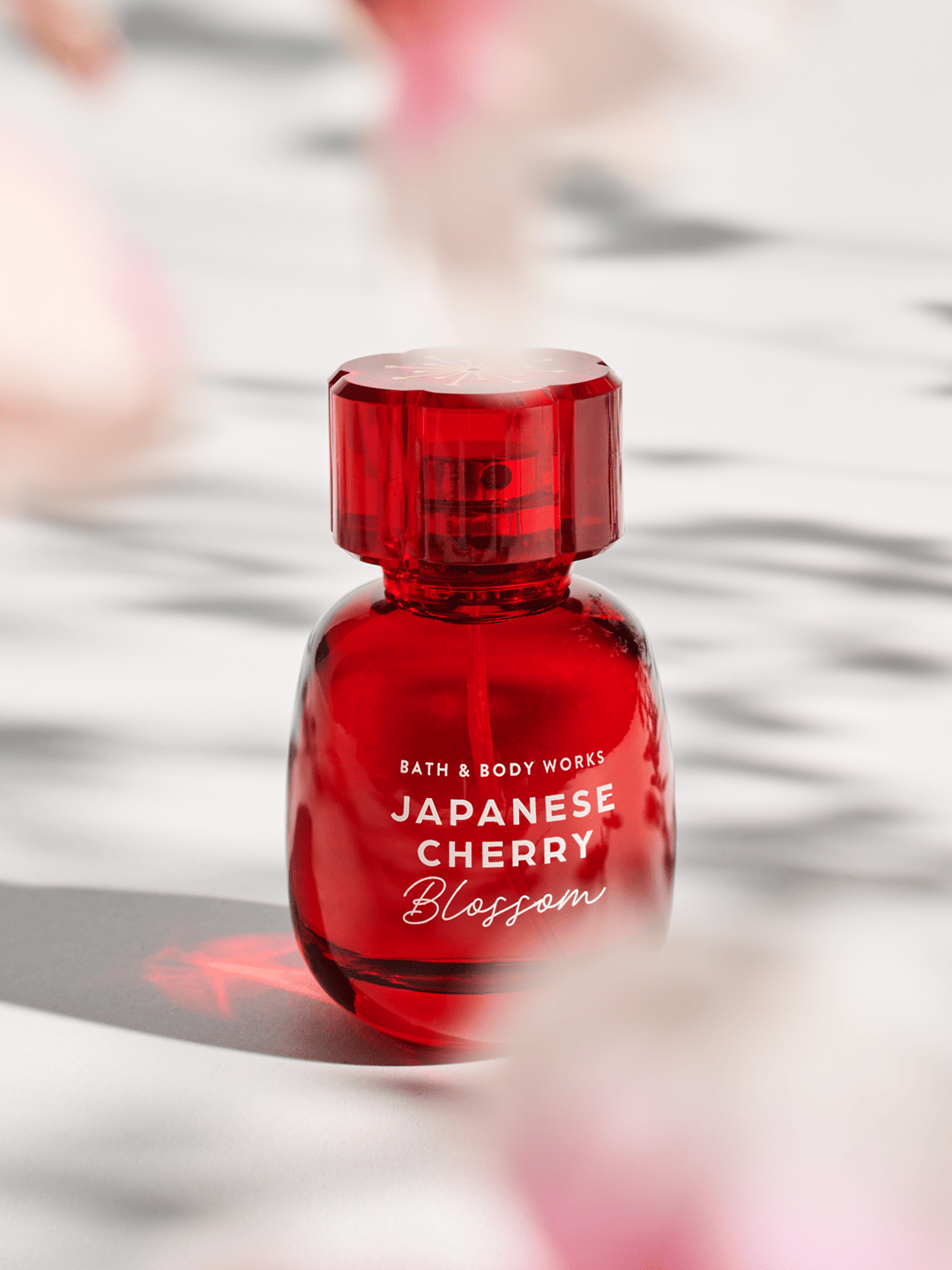 Japanese Cherry Blossom