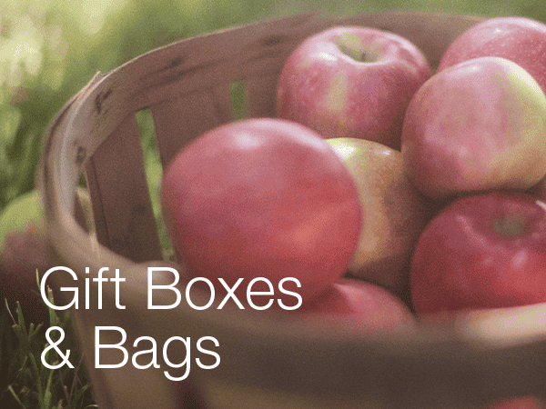 Accessories | Bath & Body Works Canada | Bath & Body Works