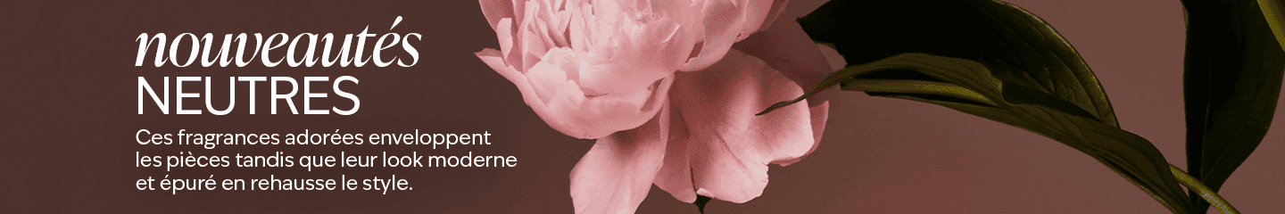 sp1_000897899_000918930_xct_wbn_sit_mgh_01_00_EN.png