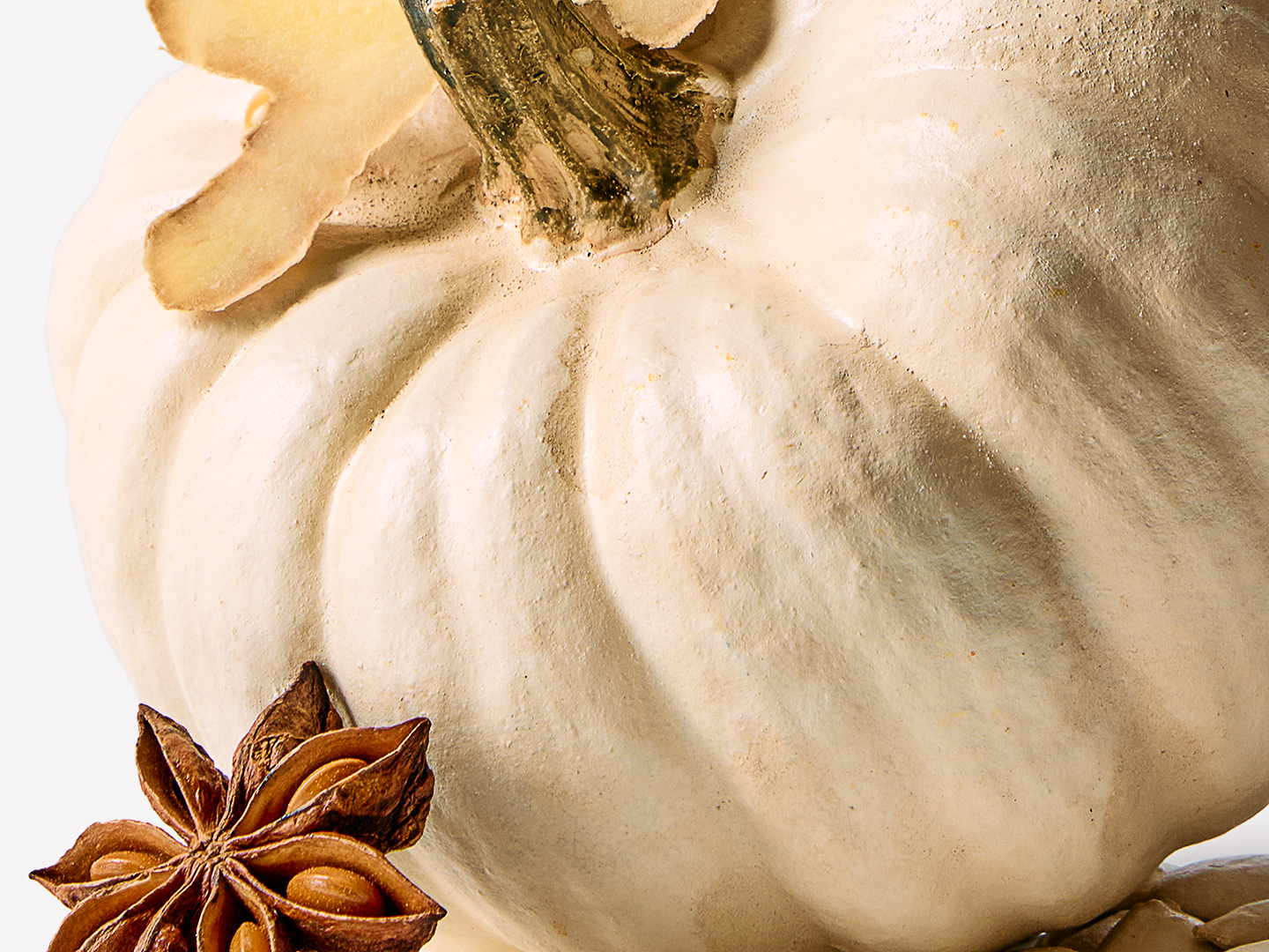 White Pumpkin