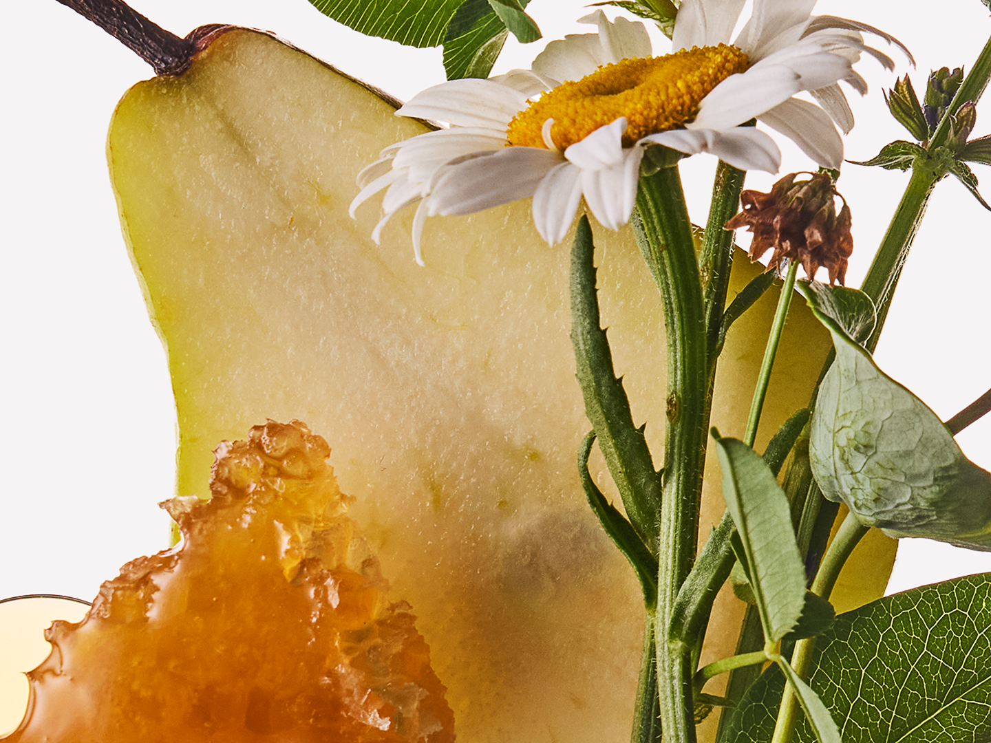 Honey Wildflower