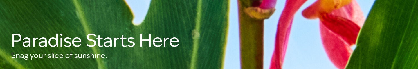 Paradise Starts Here. Snag your slice of sunshine.