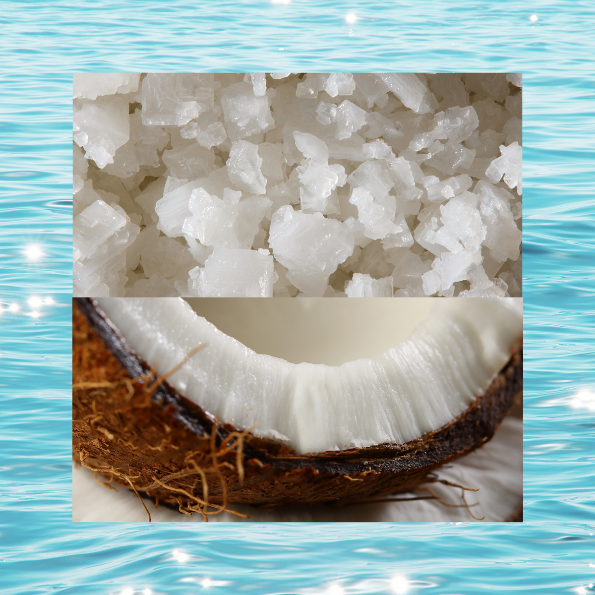 Sea Salt + Coconut Nectar
Subtly sweet with a pinch of sea breeze. That toes-in-the-sand feeling.