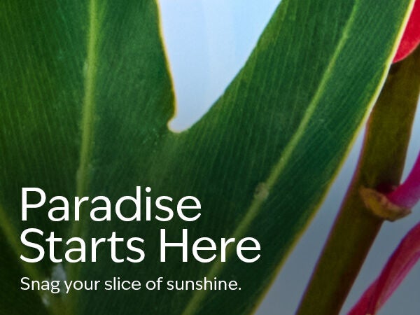 Paradise Starts Here. Snag your slice of sunshine.