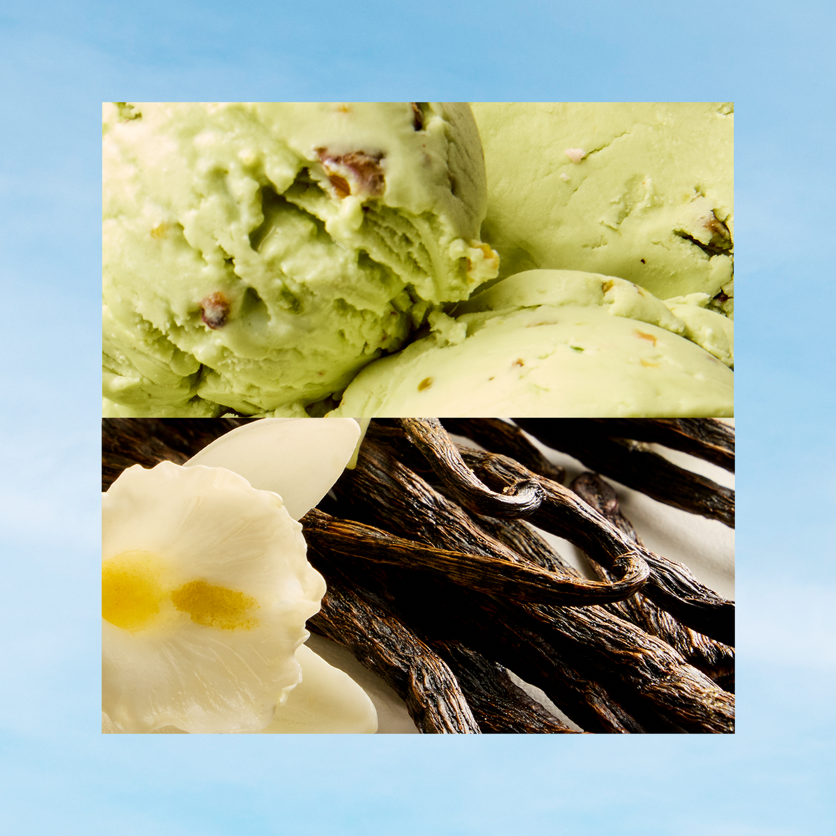 Wild Vanilla + Toasted Pistachio
Warm, nutty and so hot right now. Hits like gelato on a 90-degree day.