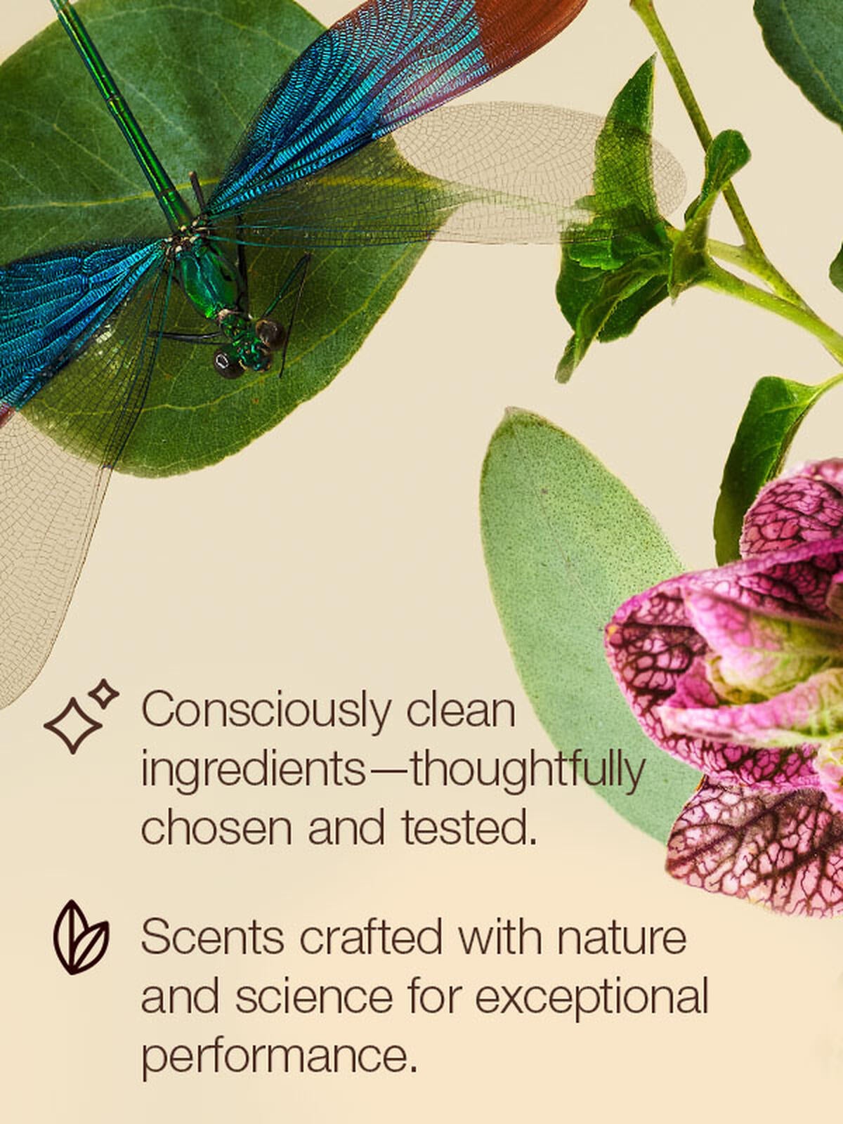 Consciously clean ingredients - thoughtfully chosen and tested. Scent crafted with nature and science for exceptional performance.