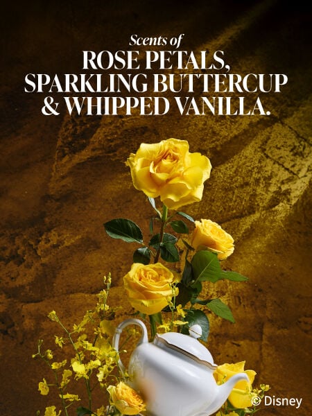 Scents of rose petals, sparkling buttercup, & whipped vanilla.