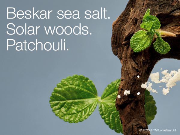 Beskar sea salt. Solar woods. Patchouli.