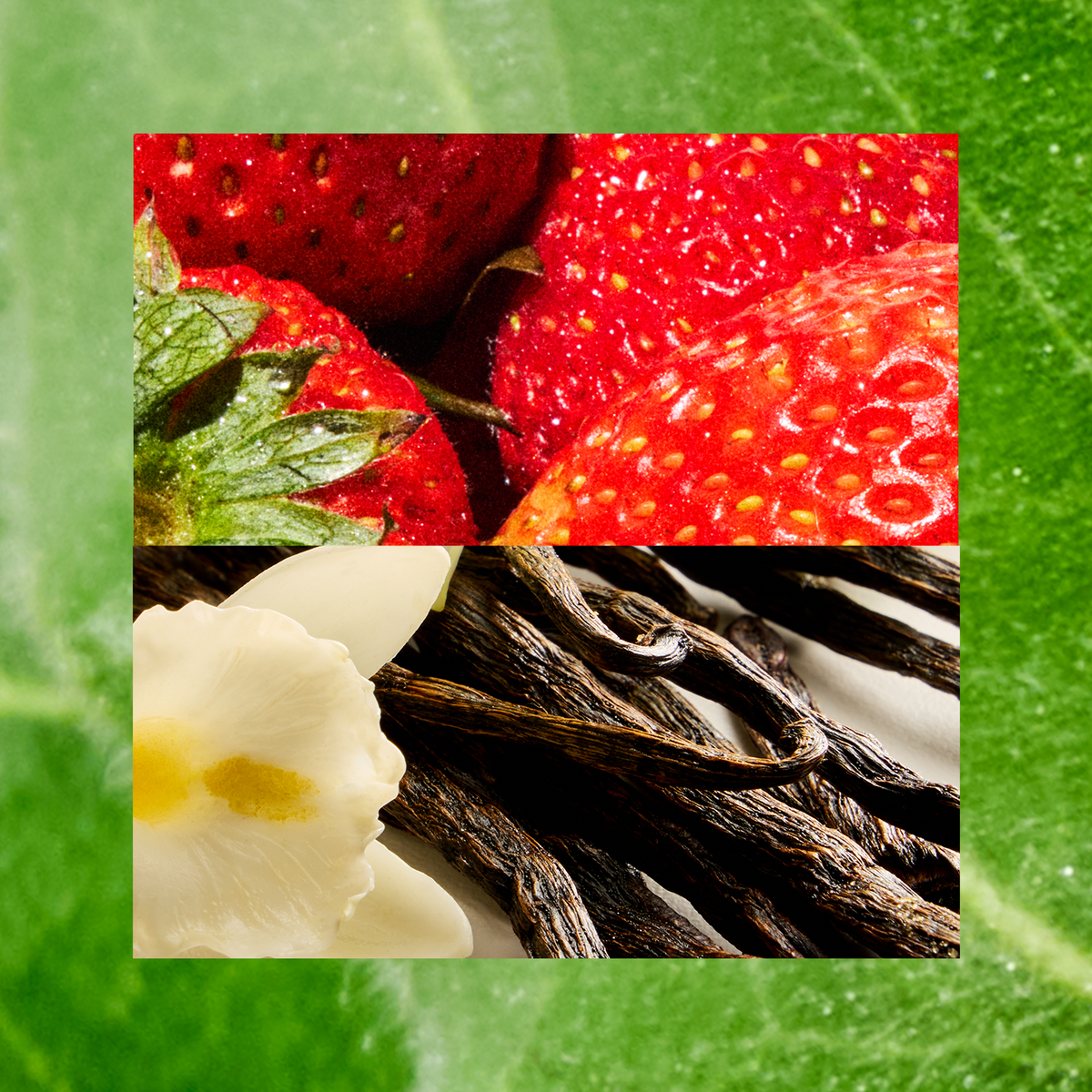 Juicy Strawberry + Wild Vanilla
Sweet, playful and just a bit addictive. Sometimes dessert before dinner is better.