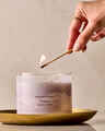 Crushed Candy Cane 3-Wick Candle