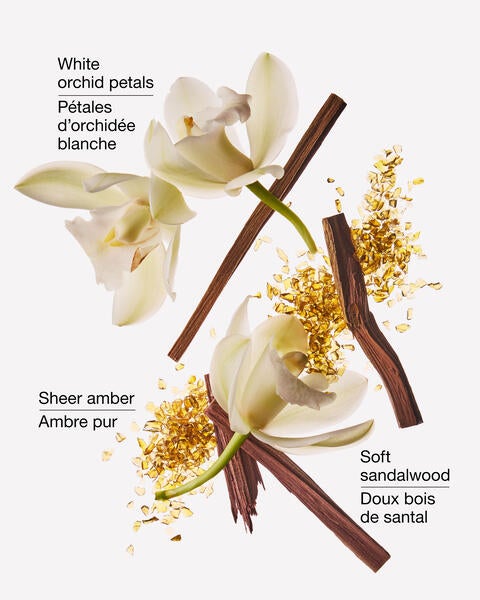 Recharge de fragrance Wallflowers Dreamy Amber