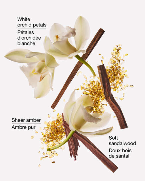 Dreamy Amber Wallflowers Fragrance Refill