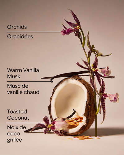 Tiki Beach Car Fragrance Refill