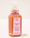 Champagne Toast Gentle & Clean Foaming Hand Soap