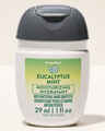 Désinfectant pour les mains PocketBac Eucalyptus Mint