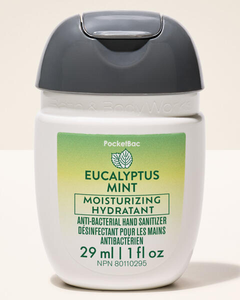 Désinfectant pour les mains PocketBac Eucalyptus Mint