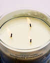 Shoreline Hydrangea 3-Wick Candle