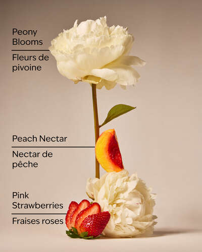 Gingham Gorgeous Gift Set