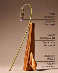 Oceanside Lavender 3-Wick Candle