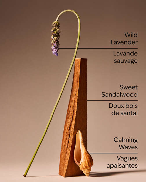 Oceanside Lavender 3-Wick Candle