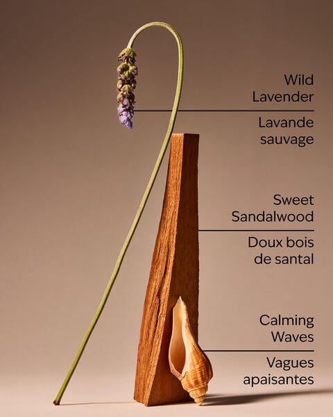 Oceanside Lavender 3-Wick Candle