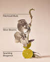 Platinum Fine Fragrance Mist