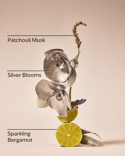 Platinum Fine Fragrance Mist