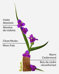 Very Violet Fine Fragrance Mist