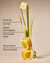 Laundry Room Lemon Wallflowers Fragrance Refill
