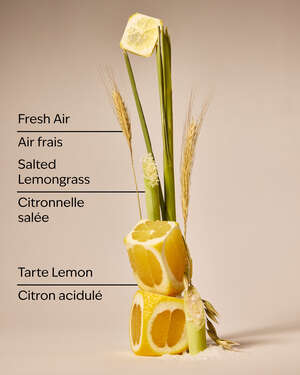 Laundry Room Lemon Wallflowers Fragrance Refill