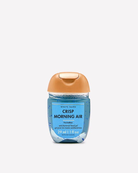 Désinfectant pour les mains PocketBac Crisp Morning Air