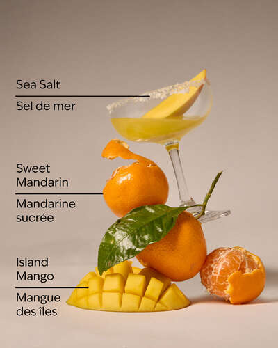 Island Margarita 3-Wick Candle