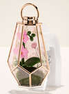 Orchid Terrarium Scent Control&trade; Nightlight Wallflowers Fragrance Plug