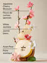 Nettoyant pour le corps Japanese Cherry Blossom