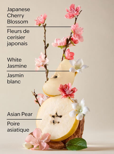 Nettoyant pour le corps Japanese Cherry Blossom