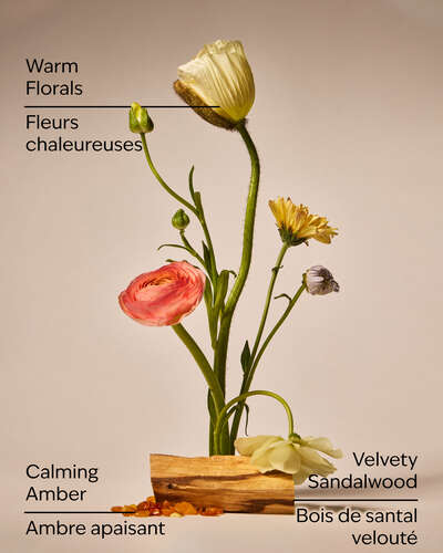 Warm Summer Evening Single Wick Candle