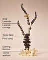 Savon pour les mains hydratation quotidienne Sweet Lavender