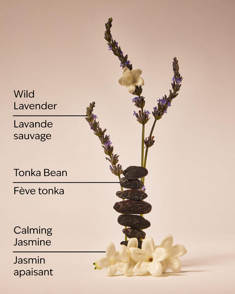 Savon pour les mains hydratation quotidienne Sweet Lavender