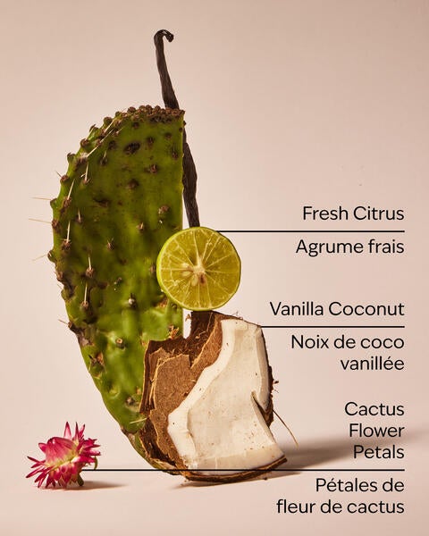 Cactus Blossom Car Fragrance Refill