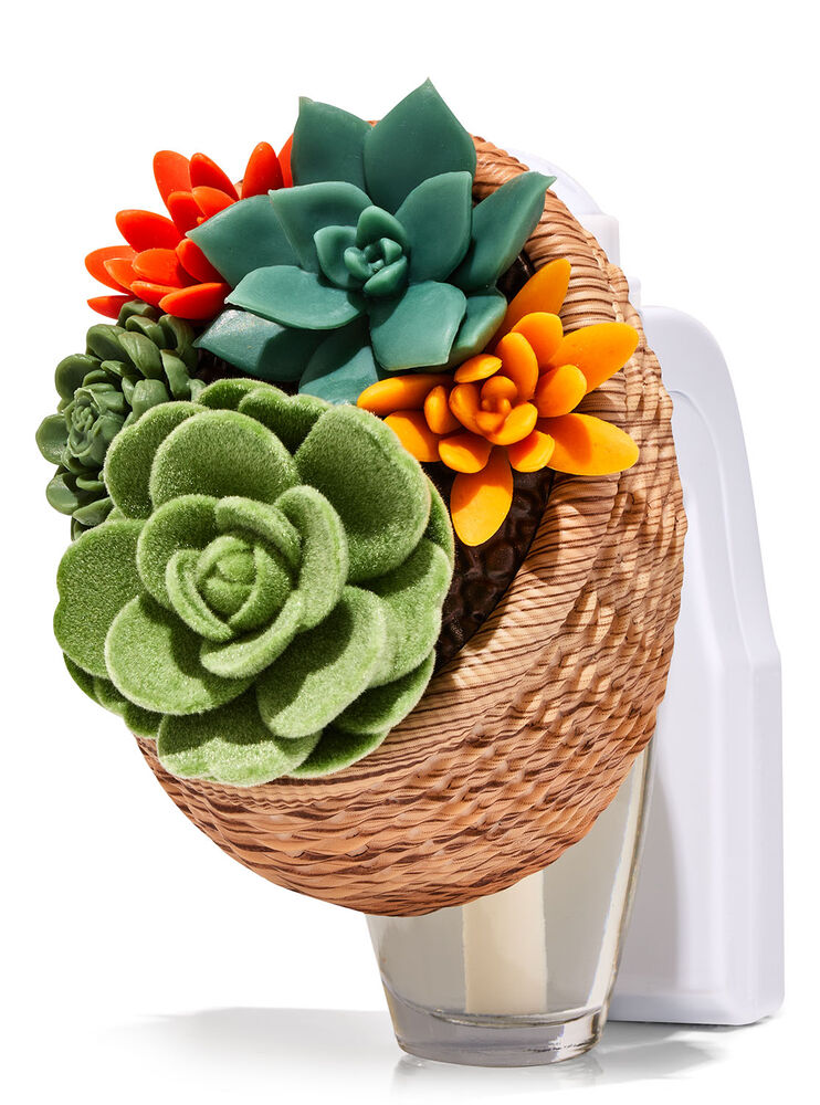 Succulent Wall Basket Wallflowers Scent Control&trade; Fragrance Plug Image 1