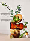 Eucalyptus Spearmint Moisturizing Body Wash