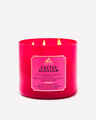 Cactus Blossom 3-Wick Candle