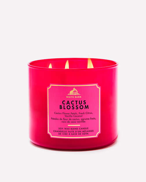 Cactus Blossom 3-Wick Candle