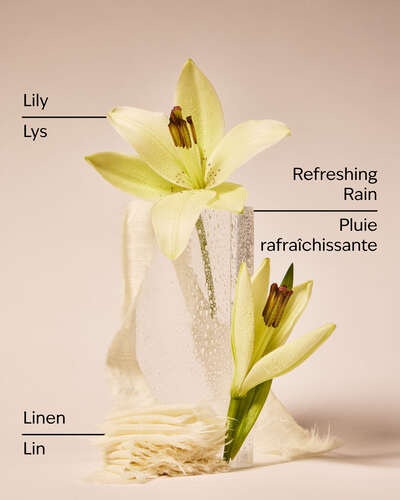 Fresh Rainfall & Linen Concentrated Room Spray