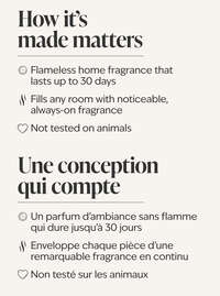 'Tis The Season Wallflowers Fragrance Refill