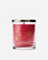 Winter Candy Apple Single Wick Candle