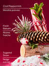 Twisted Peppermint Ultimate Hydration Body Cream