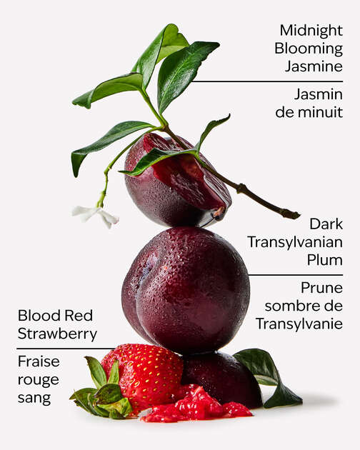 Vampire Blood Wallflowers Fragrance Refill