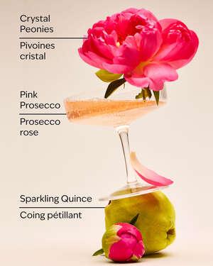 A Thousand Wishes Gift Set